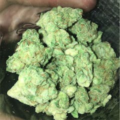 User uploaded image of Jazz