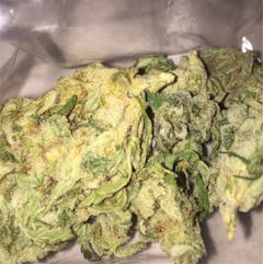 User uploaded image of Jean Guy