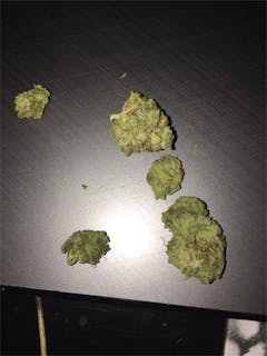 User uploaded image of Jean Guy