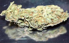 User uploaded image of Jean Guy