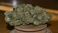 User uploaded image of Jean Guy