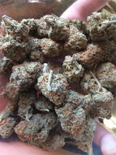 User uploaded image of Jedi Kush