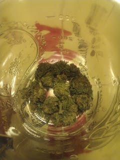 User uploaded image of Jedi Kush
