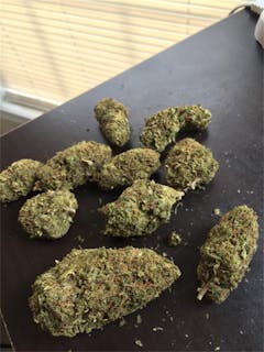 User uploaded image of Jedi Kush