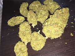 User uploaded image of Jedi Kush
