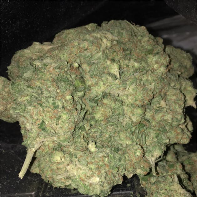 Photos of Jelly Roll Weed Strain Buds Leafly