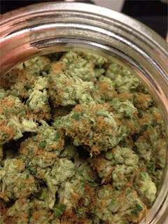 User uploaded image of Jenni