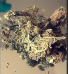 User uploaded image of Jenni