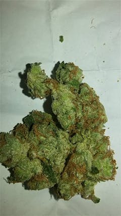 User uploaded image of Jenny Kush