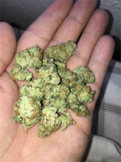 User uploaded image of Jenny Kush