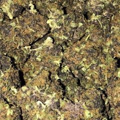 User uploaded image of Jesse's Girl