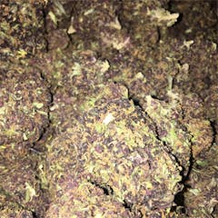 User uploaded image of Jesse's Girl