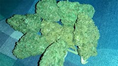 User uploaded image of Jesus OG