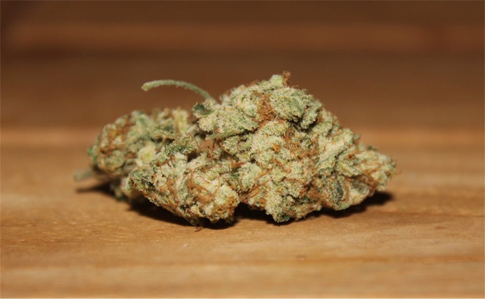 Photos of Jesus OG Weed Strain Buds | Leafly