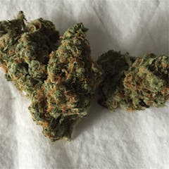 User uploaded image of Jesus OG