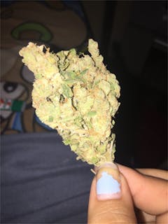 User uploaded image of Jesus