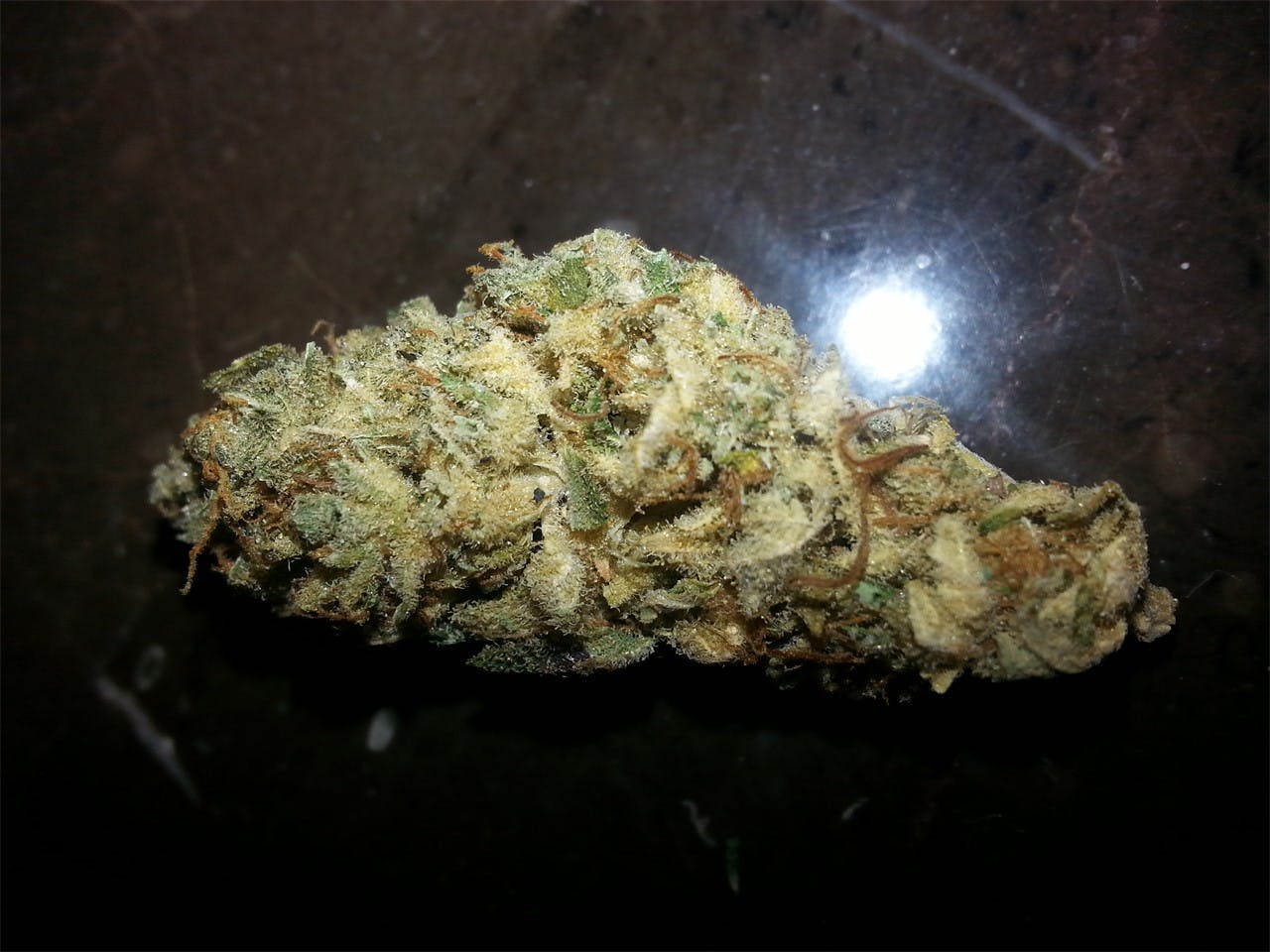 Jesus Weed Strain Information Leafly