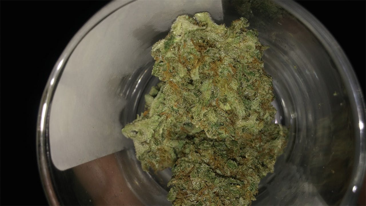 Jesus Weed Strain Information Leafly