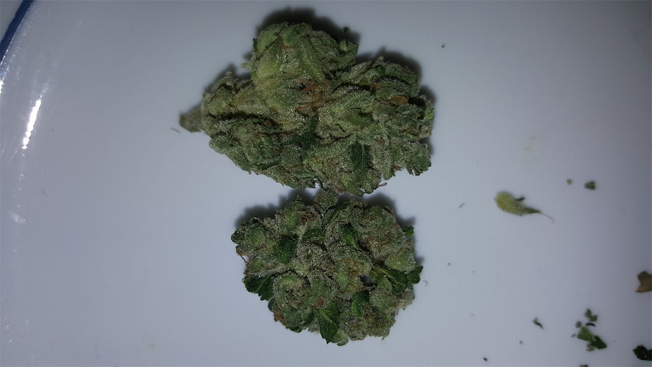 Photos of Jet Fuel Weed Strain Buds Leafly