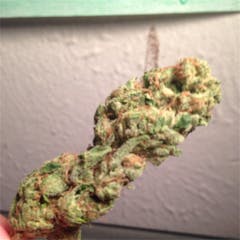 User uploaded image of Jet Fuel