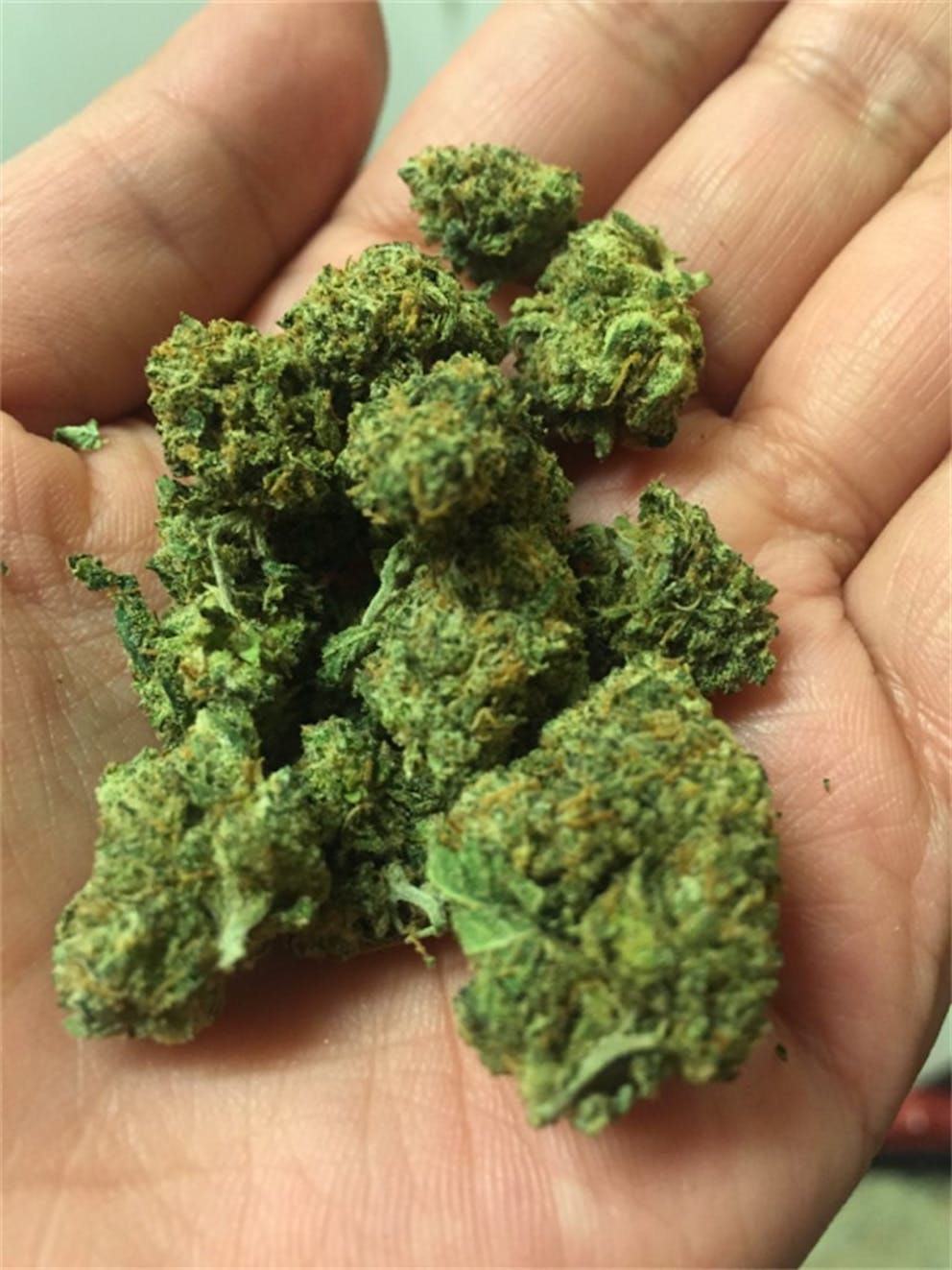 Photos of Jet Fuel Weed Strain Buds Leafly