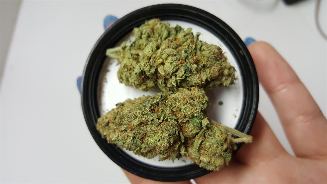 Photos of Jet Fuel Weed Strain Buds Leafly