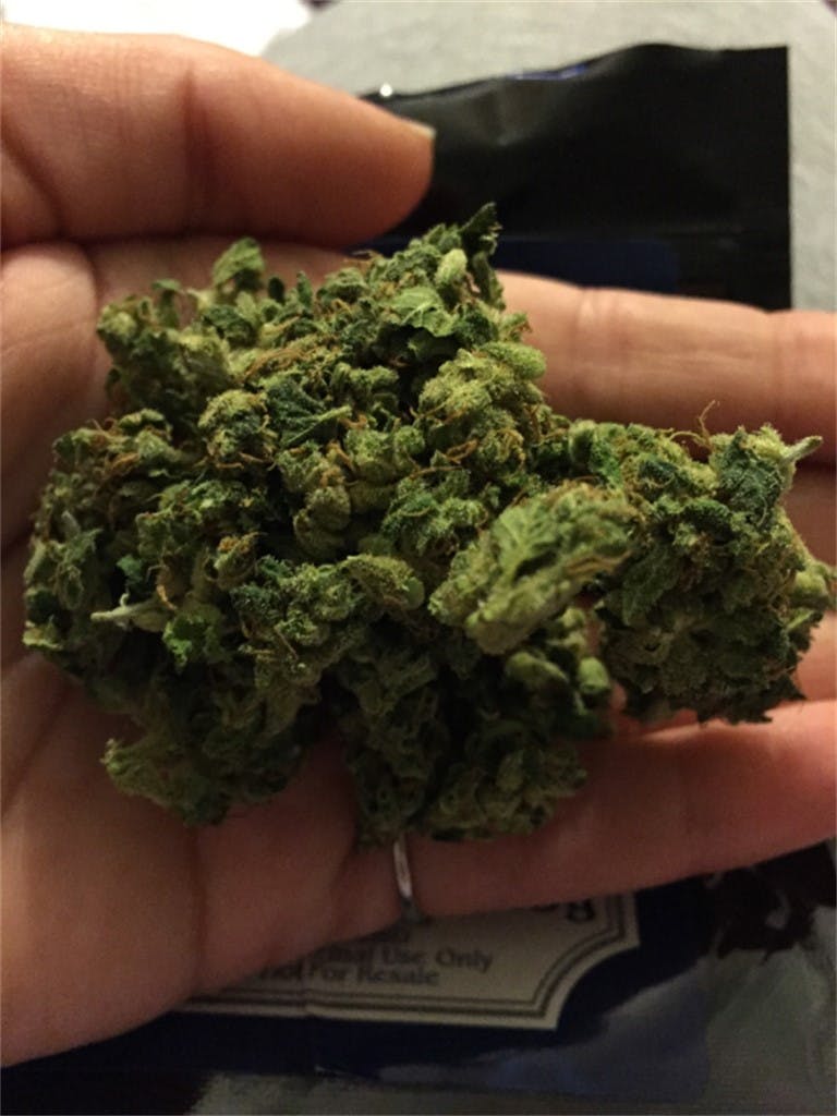 Photos of Jet Fuel Weed Strain Buds Leafly