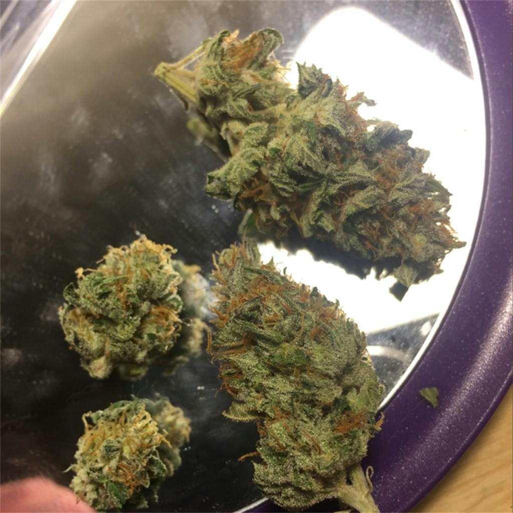 Jet Fuel aka G6, Jet Fuel OG, Jet Fuel G6, Jet Fuel Kush, G6 Kush Weed Strain Information Leafly