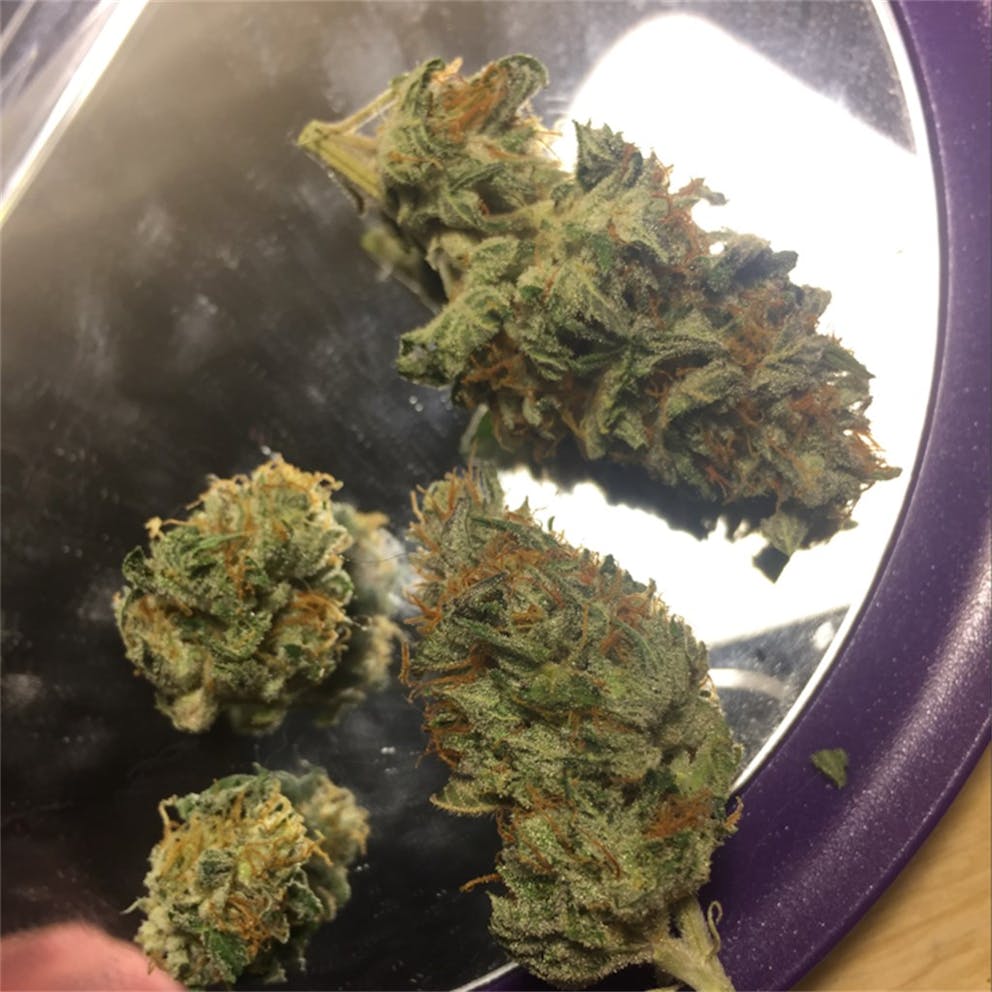 Photos of Jet Fuel Weed Strain Buds Leafly