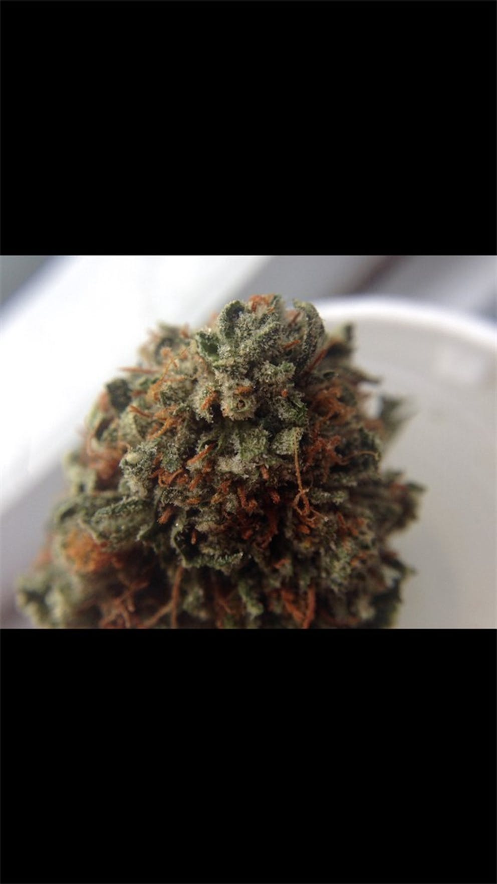 Photos of Jet Fuel Weed Strain Buds Leafly