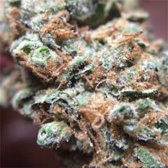 User uploaded image of Jet Fuel