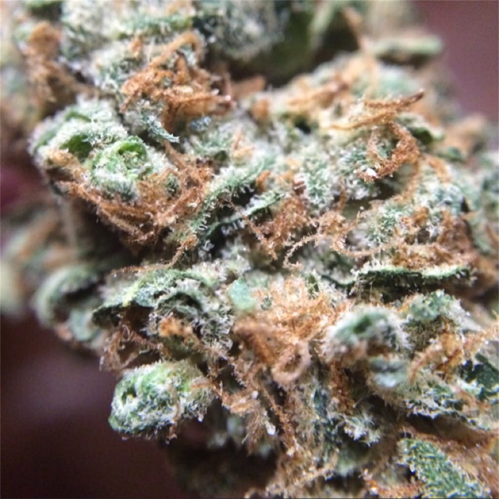 Photos of Jet Fuel Weed Strain Buds Leafly