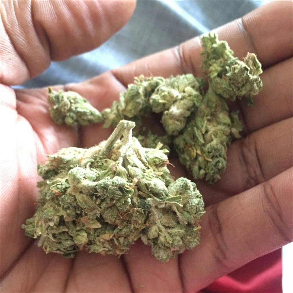 Photos of Jet Fuel Weed Strain Buds Leafly