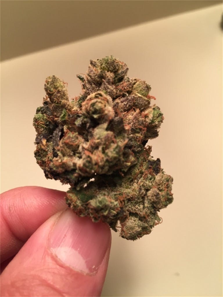 Photos of Jet Fuel Weed Strain Buds Leafly