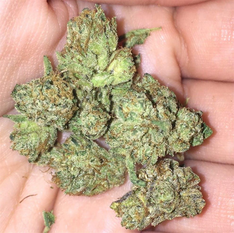 Photos of Jet Fuel Weed Strain Buds Leafly