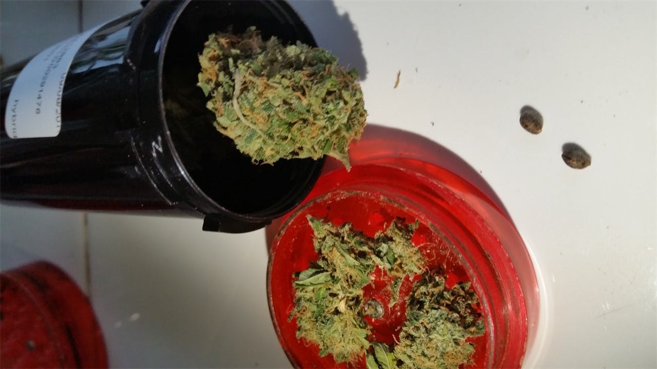 Photos of Jet Fuel Weed Strain Buds Leafly