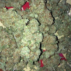 User uploaded image of Jet Fuel