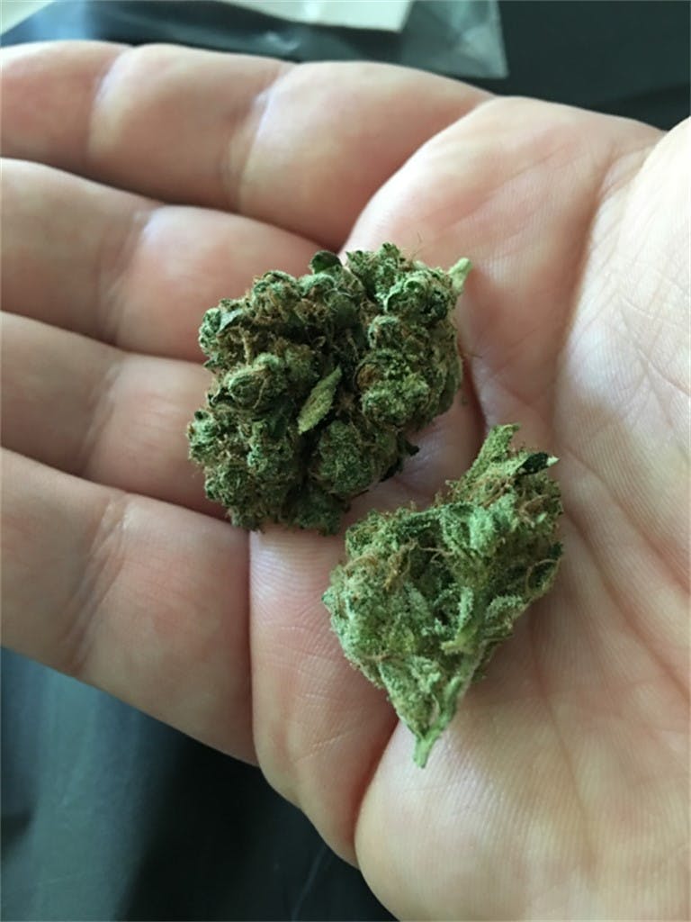 Photos of Jet Fuel Weed Strain Buds Leafly