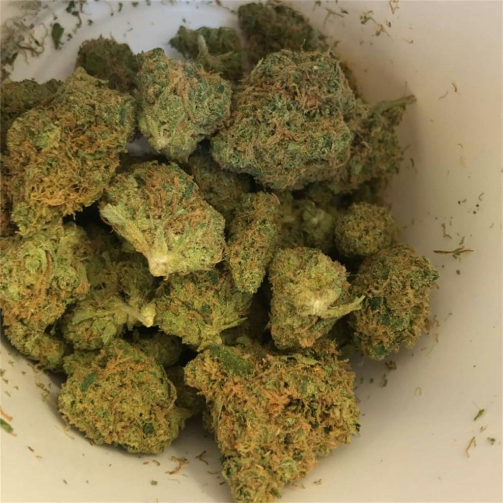 Jillybean aka Jilly Bean Weed Strain Information Leafly