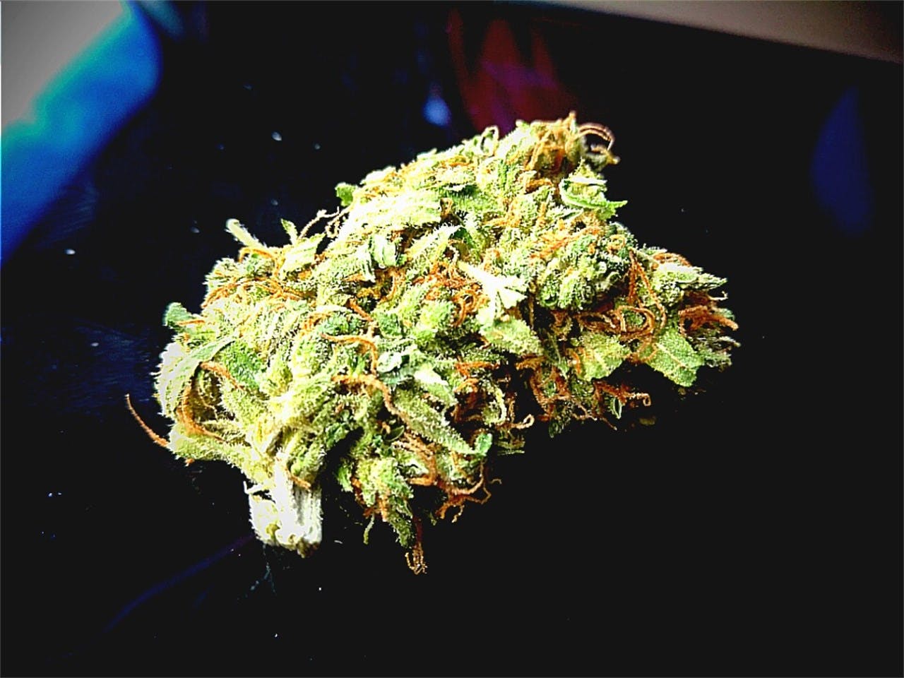 Jillybean aka Jilly Bean Weed Strain Information Leafly