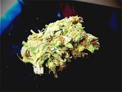 User uploaded image of Jillybean