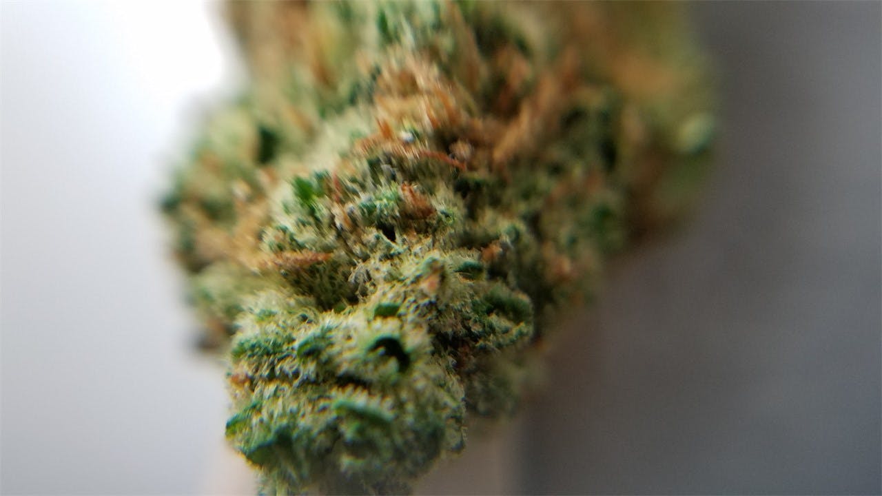 Jillybean aka Jilly Bean Marijuana Strain Information Leafly