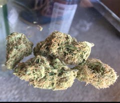 User uploaded image of Jillybean