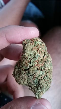 User uploaded image of Johnny’s Tonic