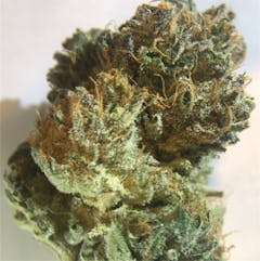 User uploaded image of Sugar Plum Sunset