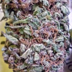 User uploaded image of Jager