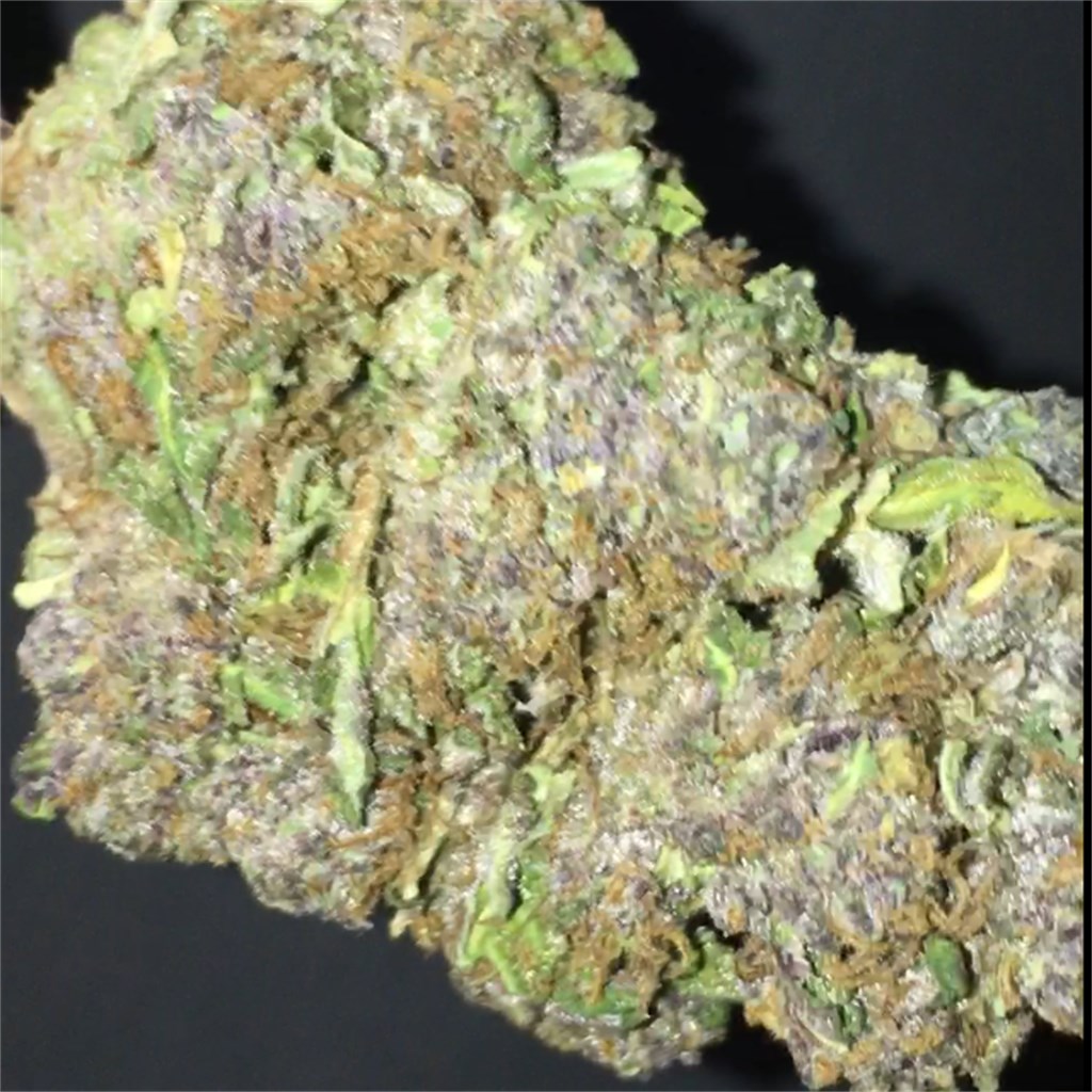 Updated 21 Jager Aka Jagermeister Jager Kush Jgr Weed Strain Information Leafly