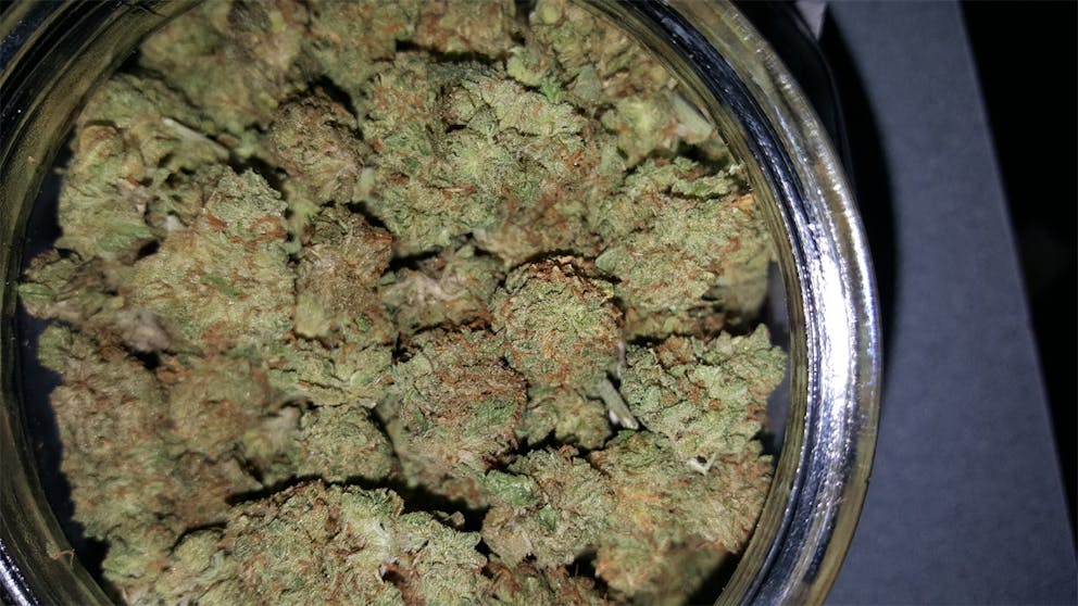 Photos of Juicy Fruit Weed Strain Buds Leafly