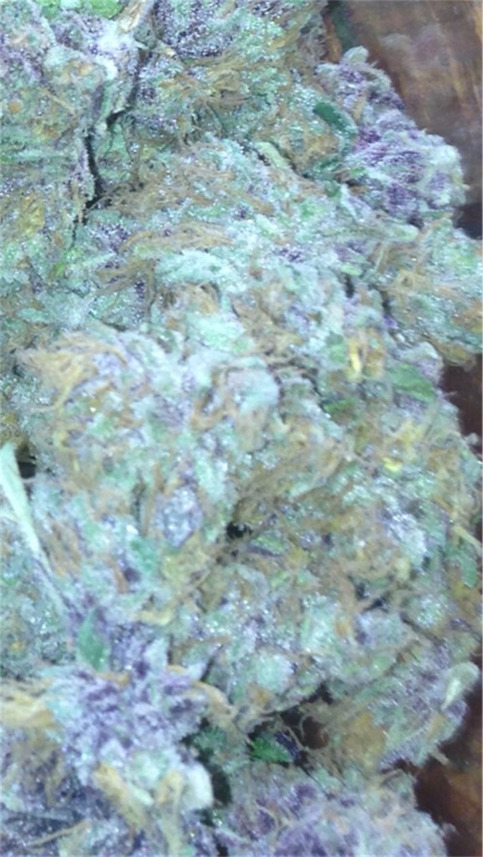 Photos of Juicy Fruit Weed Strain Buds Leafly