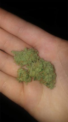 User uploaded image of Juicy Fruit